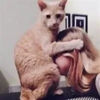 Takeo sexual-massage