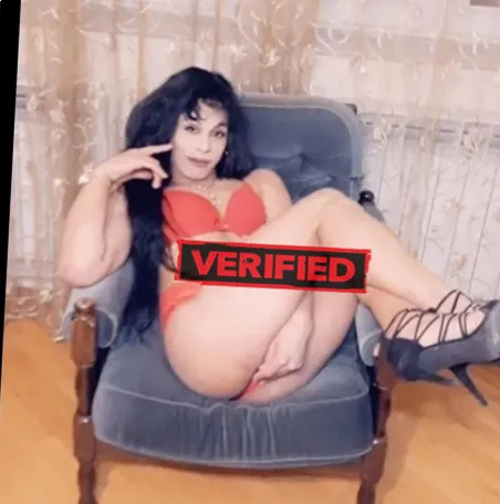 Adriana Strapon Prostituierte Avelgem