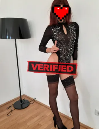 Ada Muschi Finde eine Prostituierte Zürich Kreis 6 Oberstrass