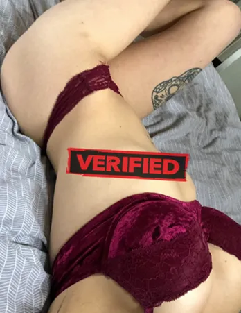 Amanda sexmachine Namoro sexual Mirandela